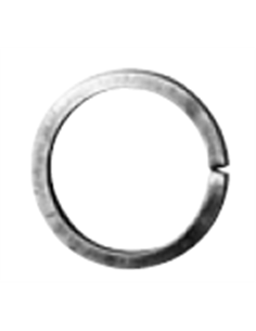 Cercle P14x6mm-D110mm (Ex157 2 146 110)(ex807214)