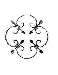 Rosace avec bague P10x5mm D250mm