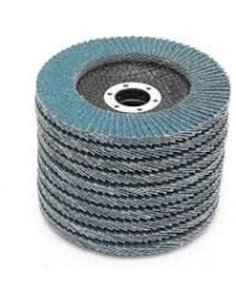 Lot de 10 disques à lamelles POLLEN Diamètre 125